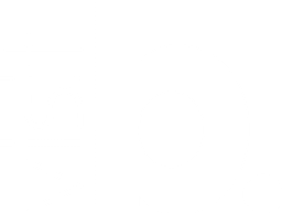 the bvisit icon.